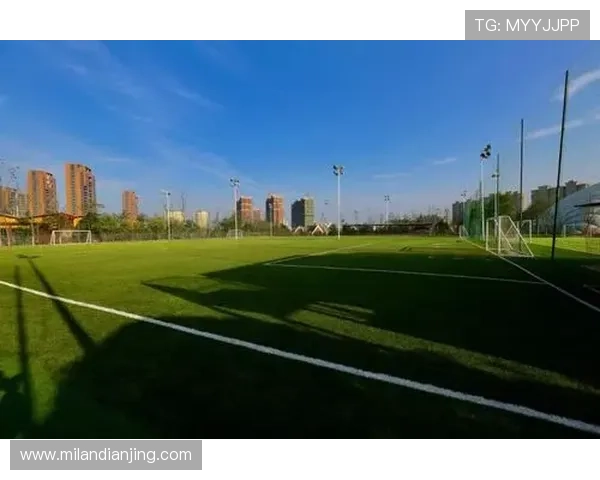 乐盈体育平台优势分析：多元化体育赛事覆盖与专业的客户服务体验